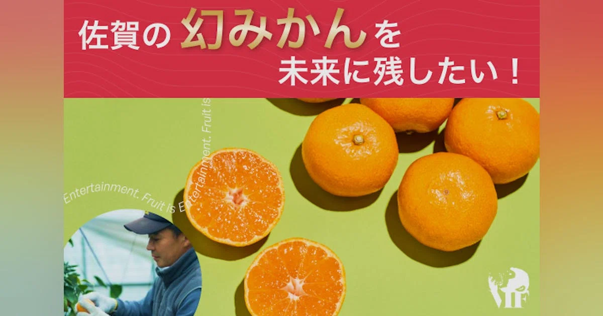 みみみかん　SVTまとめ売り 希少みかん【麗紅・潮美みかん・南津海】の特徴と保存方法について