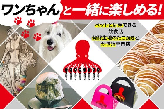 愛犬と一緒にたこ焼きとかき氷とクラフトビールを！蛸TAP@大阪市都島を広めたい！