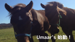 READYFOR事務局からのご案内 / 【Umaar'sの挑戦】新ひだか町で引退馬も地域も幸せにしたい！ - クラウドファンディング READYFOR