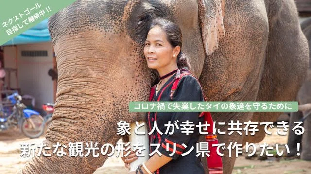 コロナ禍で失業したタイの象達を守るために象と人が幸せに共存できる新たな観光の形をスリン県で作りたい！ | クラウドファンディング - Zenes