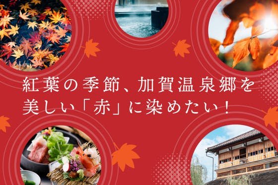 紅葉の季節、加賀温泉郷を美しい「赤」に染めたい！