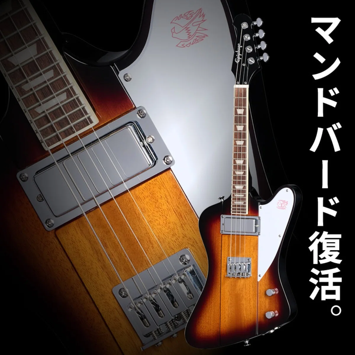 ファイヤーバード×マンドリン！エピフォン・マンドバードが待望の復活