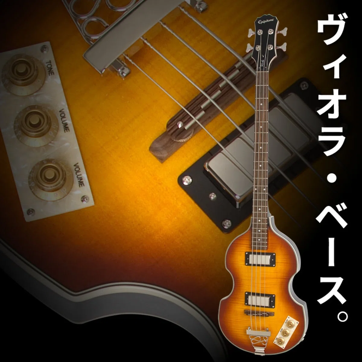 エピフォンの隠れ定番モデル「Viola Bass（ヴィオラ・ベース