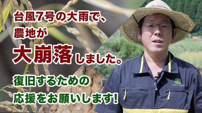 【台風7号災害】田中農場「天空源流こしひかり」が収穫できない危機を助けてほしい
