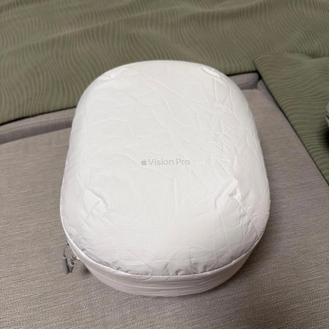 本日見つけた掘り出しモン!】Apple Vision Proトラベルケース新品