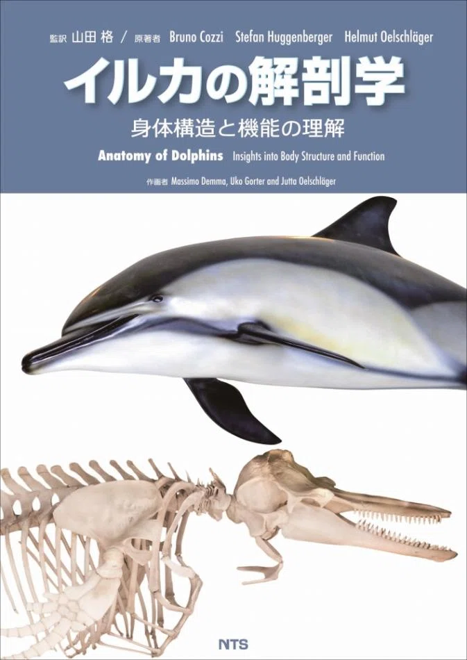 現代おさかな事典 第二版とは｜1504頁・見開き完結・27年ぶり改訂の