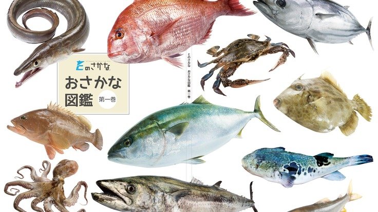 海の豊かさを守ろう！愛媛の魚食文化を伝えるおさかな図鑑を作りたい - クラウドファンディング READYFOR