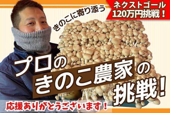 キノコ栽培25年！長野県中野市キノコ農家が本当に美味しいキノコをお届けします！
