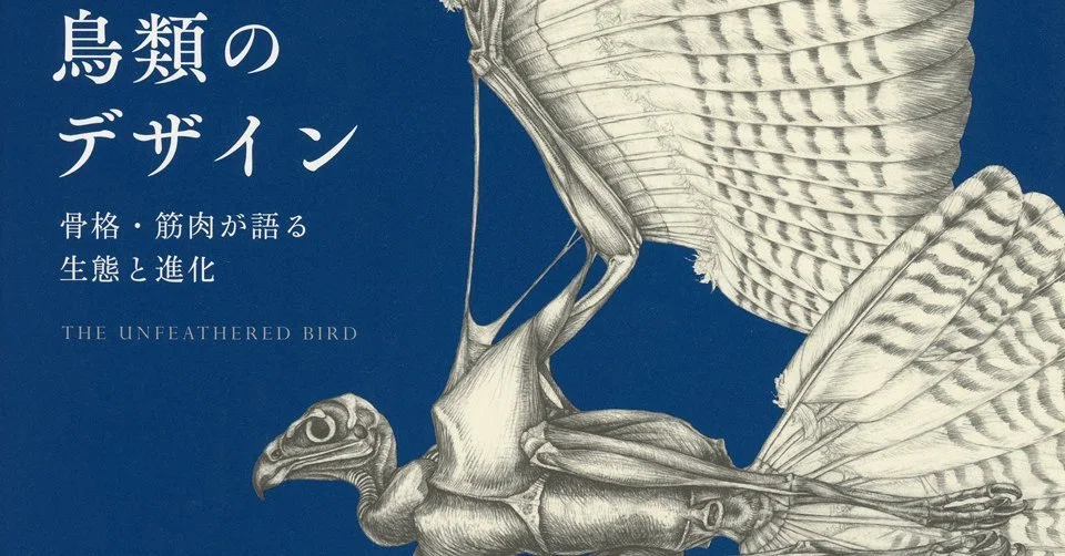 書籍『鳥類のデザイン 骨格・筋肉が語る 生態と進化』｜STARLET