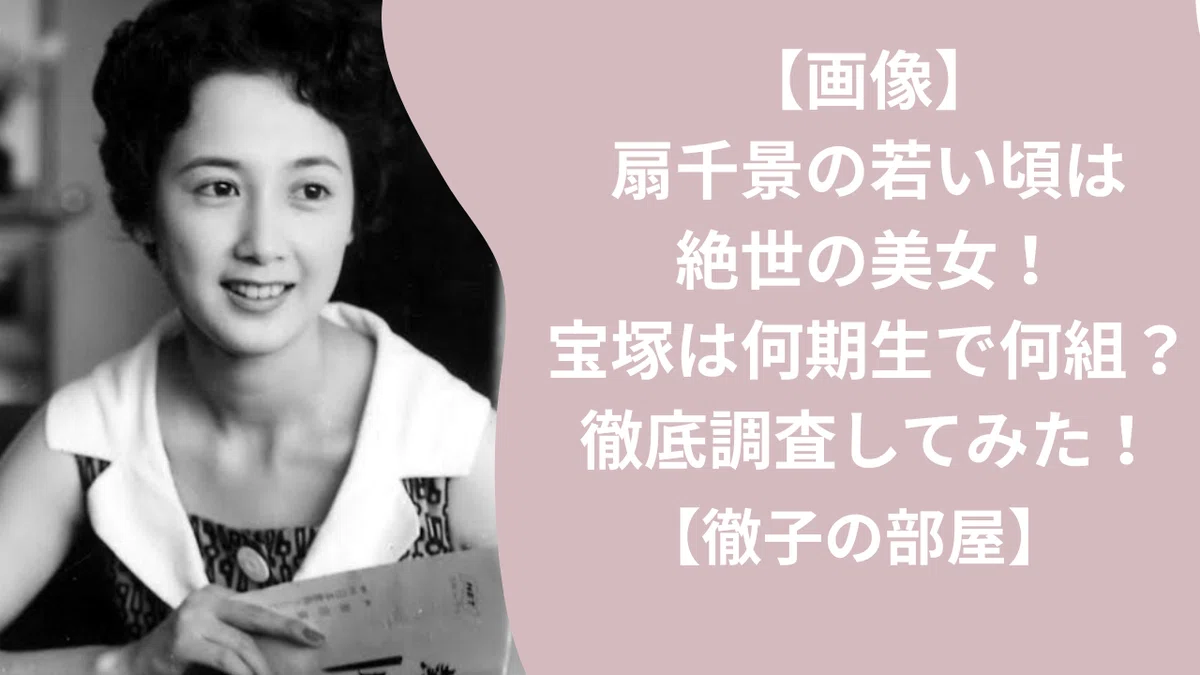 活動歴および当時の関連ビジュアル記録
