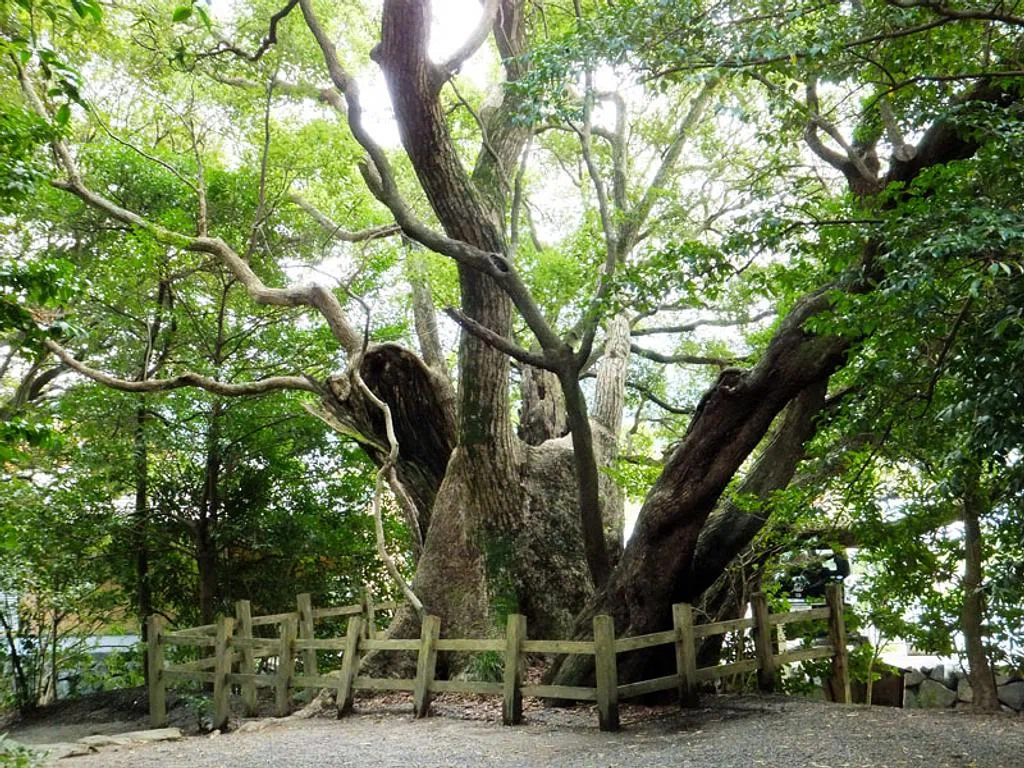 伊勢だけど伊勢神宮125社ではない「松下社」スサノオと蘇民の森は