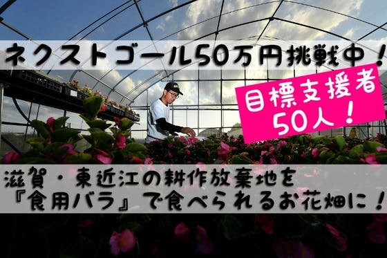 87farmの挑戦！滋賀・東近江の耕作放棄地を『食用バラ』で食べられるお花畑に！