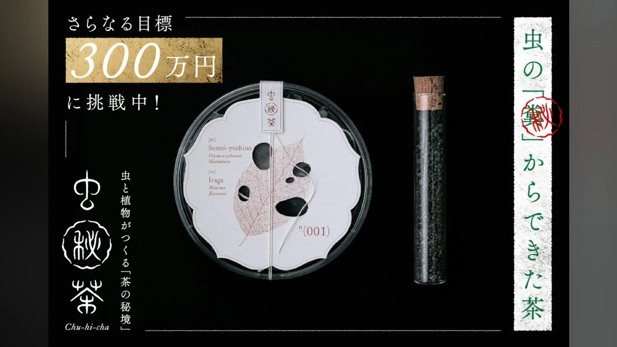 京大研究者が発見－－素材は虫の“糞”！？「虫秘茶」を全国に広めたい！