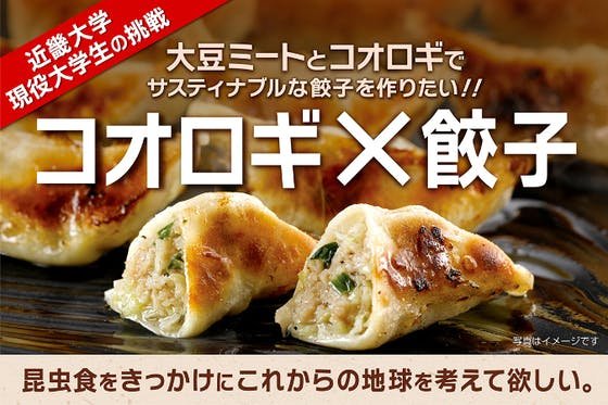 「コオロギ餃子」で昆虫食はネクストステージへ！近畿大学・現役大学生の挑戦！