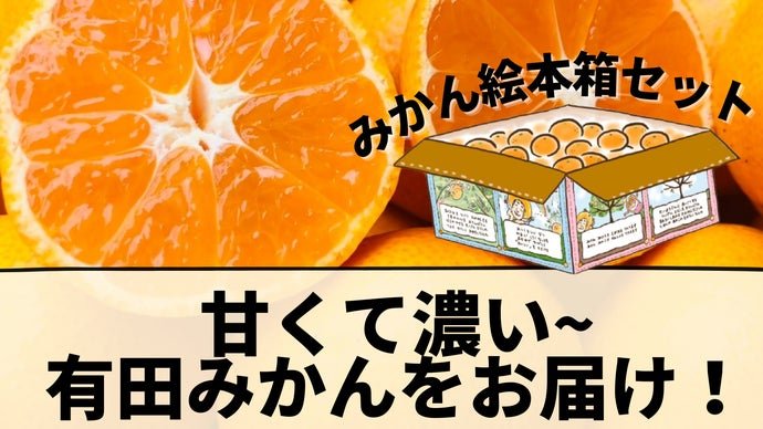 まるで食べるみかんジュース！？甘くて濃い和歌山名産の有田みかんを絵本箱でお届け！