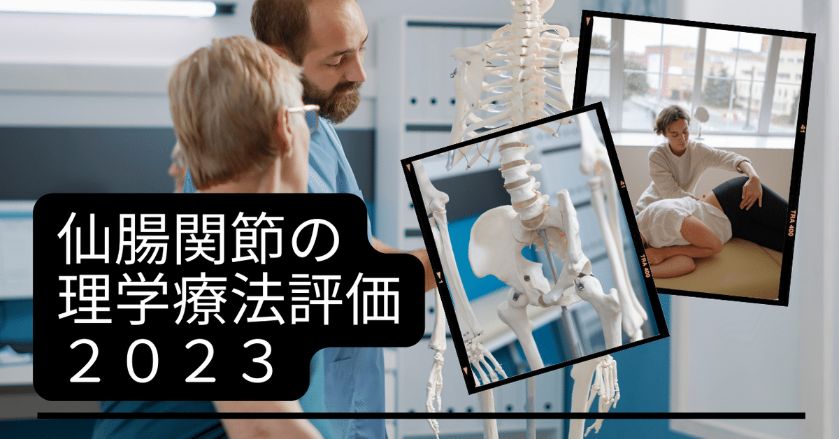 骨盤と仙腸関節の機能解剖 骨盤帯を整えるリアラインアプローチ