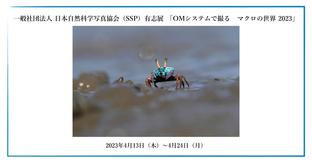 rectangle_large_type_2_411d733