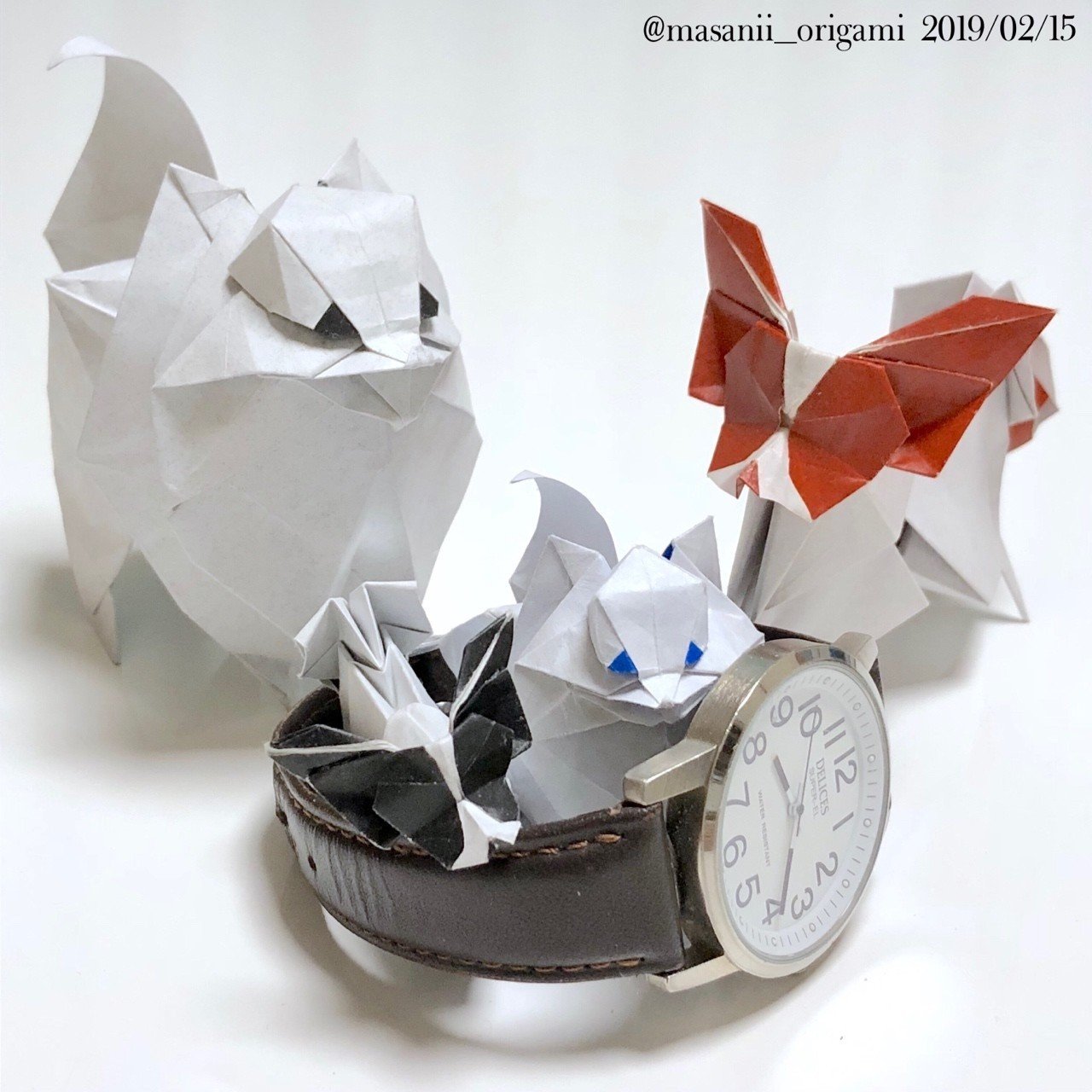 至高のおりがみ】勝田恭平さんの「ポメラニアン」を15cmで！｜まさにぃ