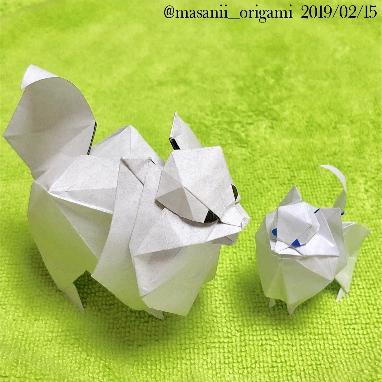 至高のおりがみ】勝田恭平さんの「ポメラニアン」を15cmで！｜まさにぃ