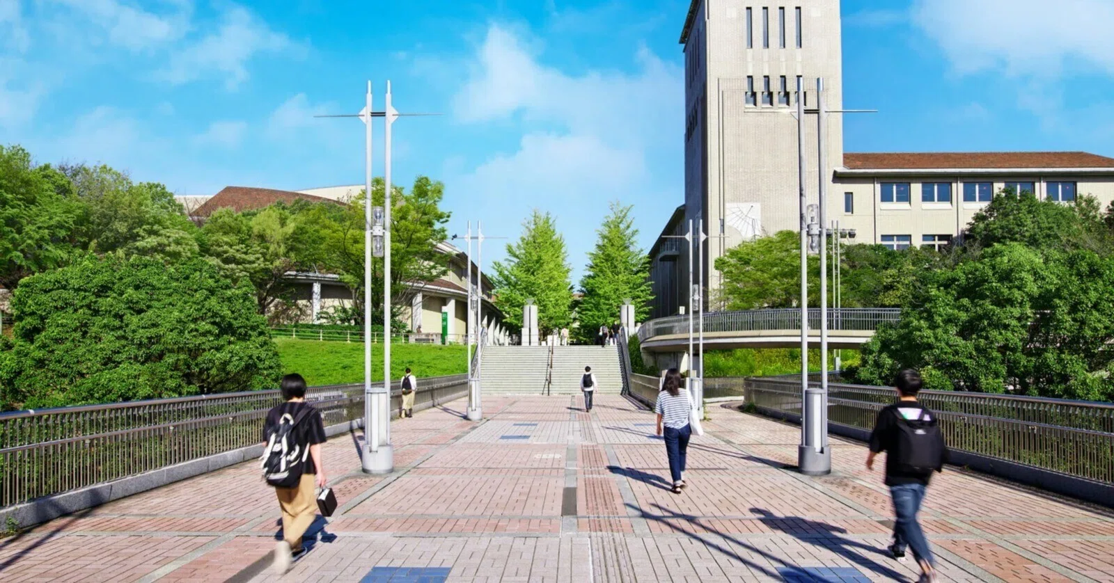 都立大・楽単一覧（筆者受講科目）｜都立大のぼっち法学部生