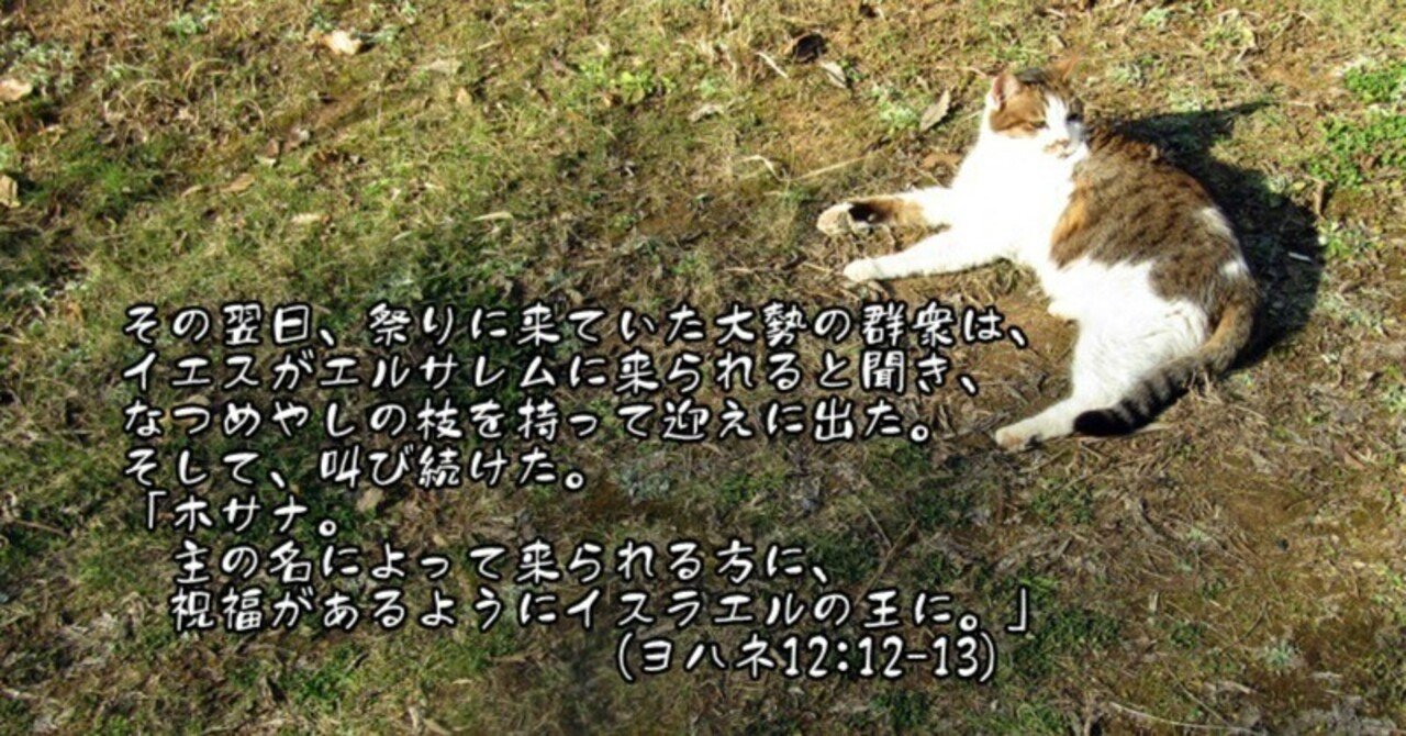 Библия ブルガリア聖書 Amazon.co.jp: ブルーアーカイブ ブルアカ 天童アリスKey ポスト