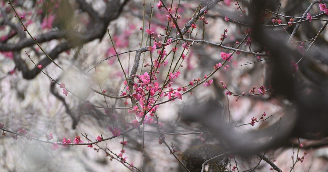 ce4ce2f5e58681f4d511c8b36797d5