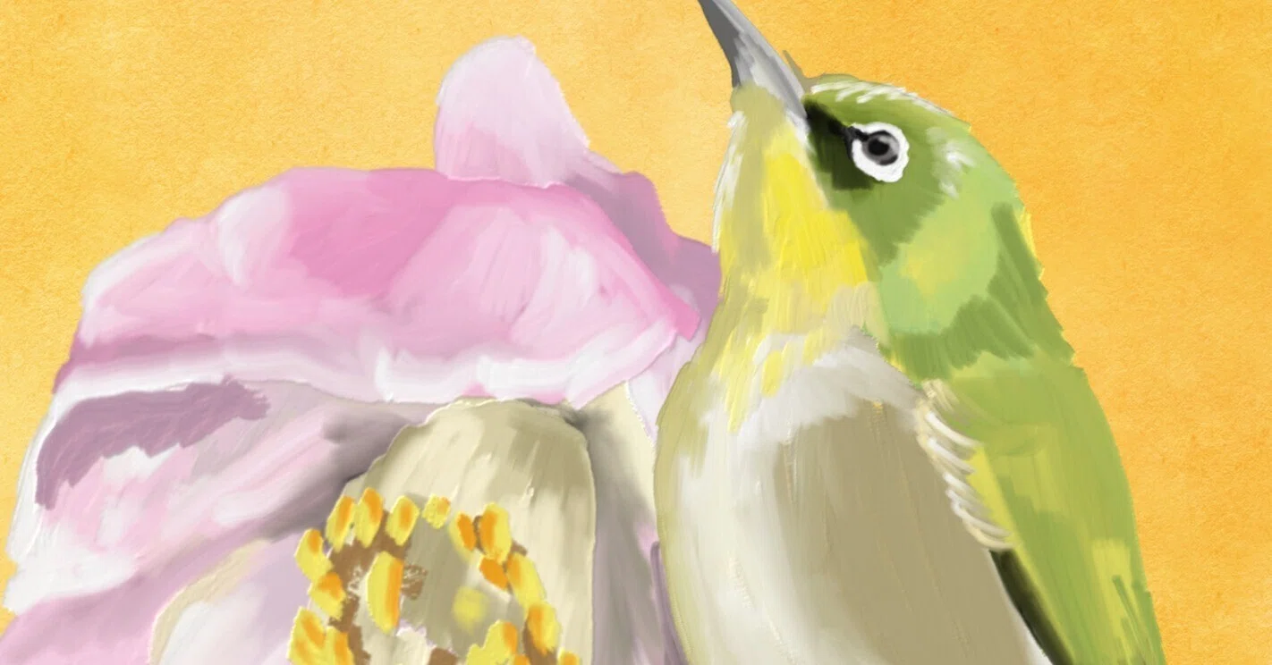 ツバキの花の傷は誰のしわざ？｜メジロ｜くますけ｜自然ガイド