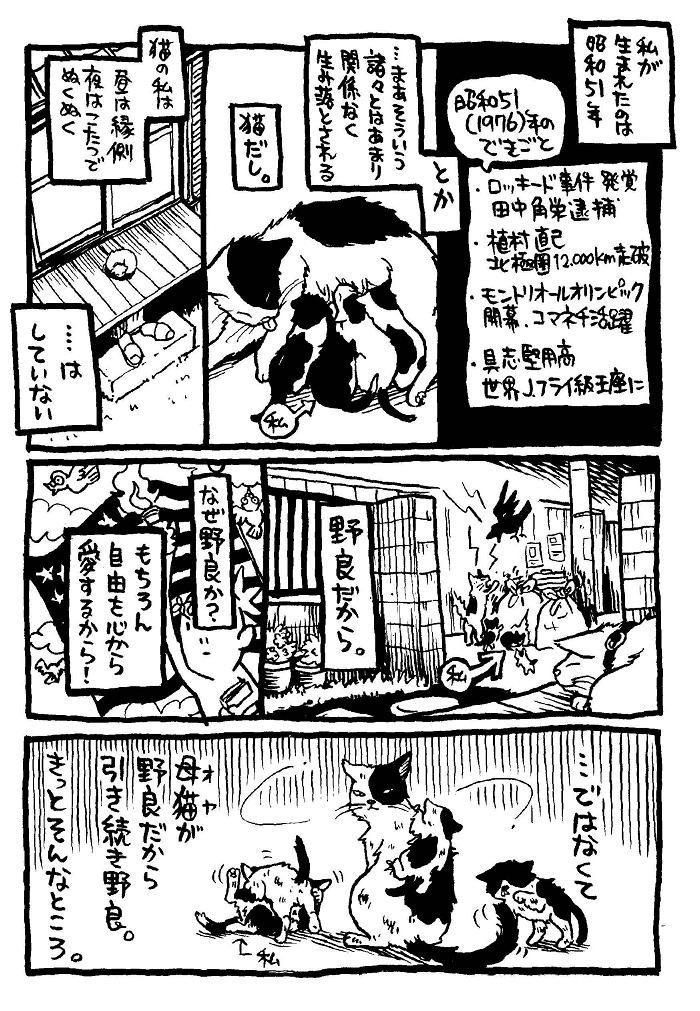 私という猫 本編まるまるためし読み 1 4 イシデ電 Note