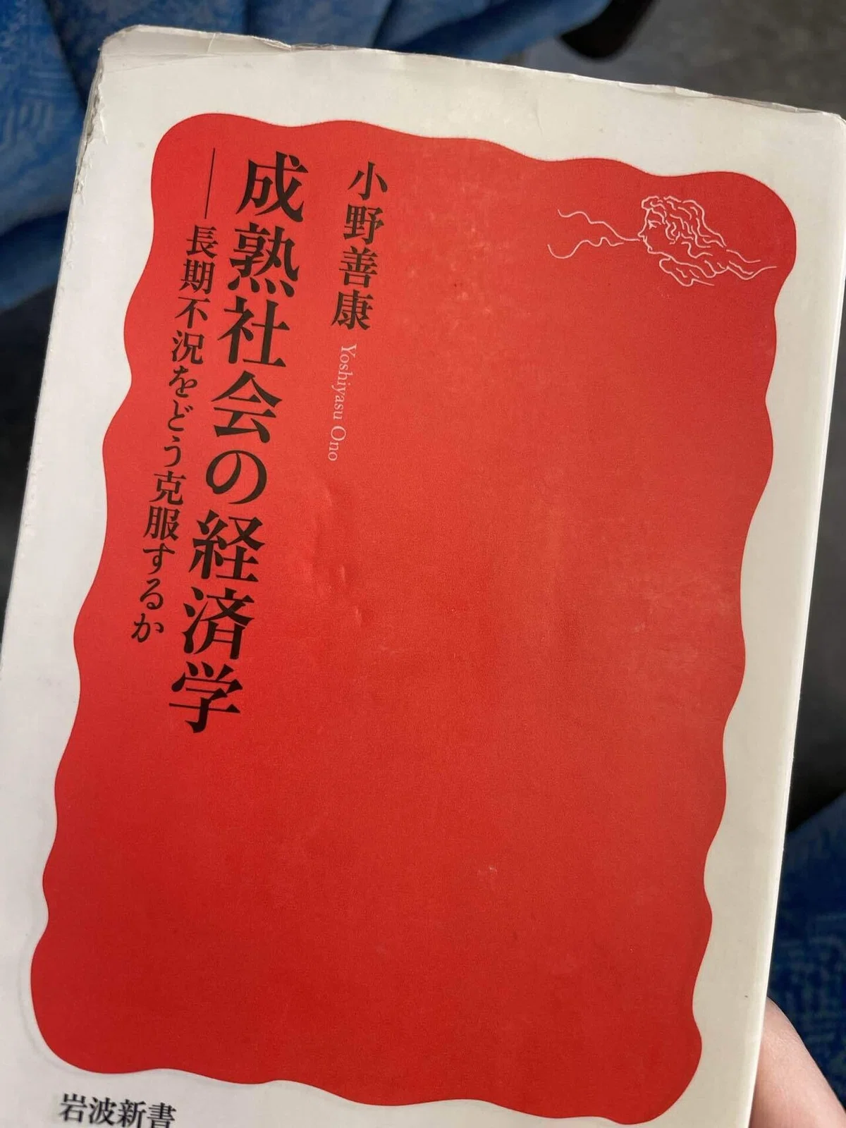 書評: 小野善康『成熟社会の経済学』｜美香紅茶