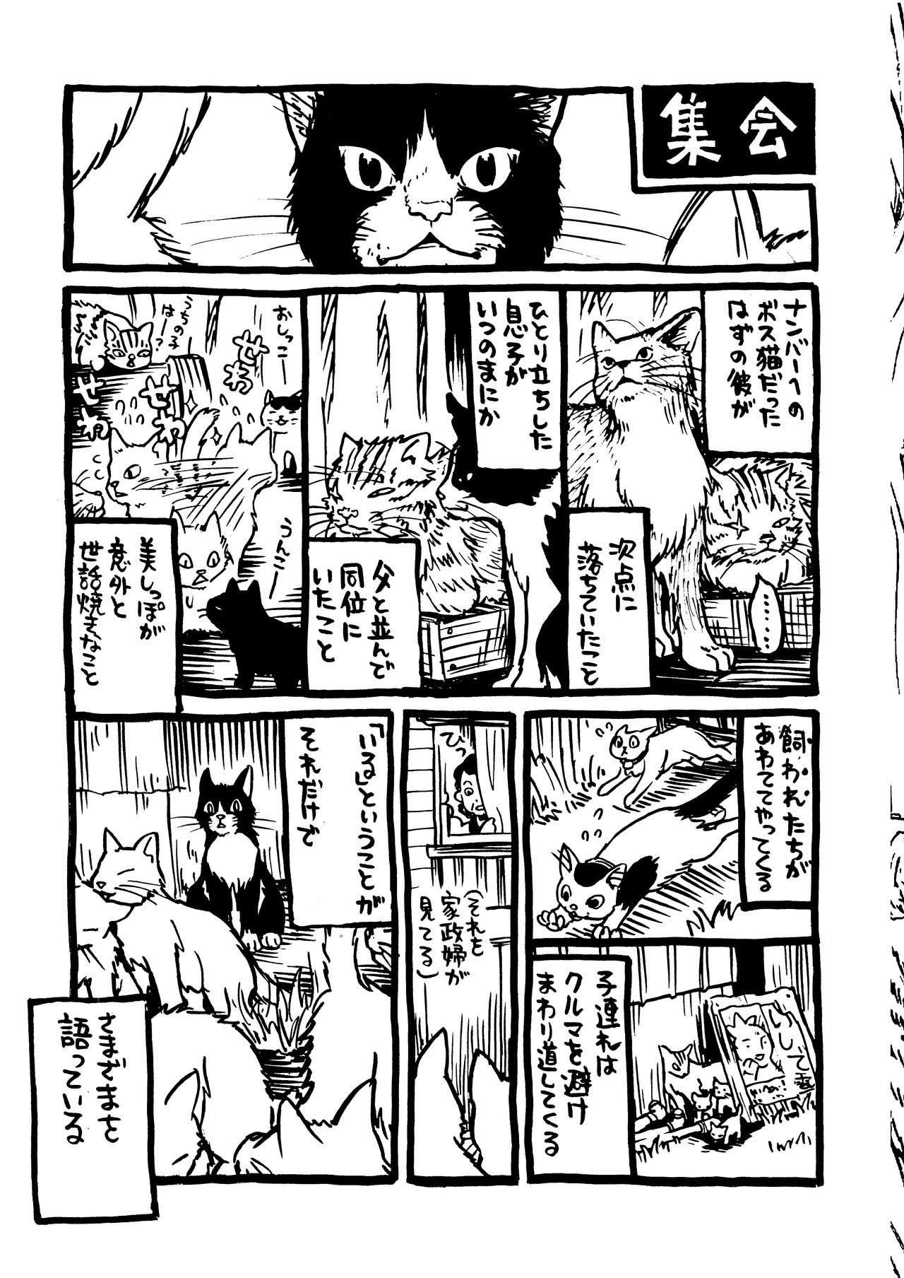 【中古】 私という猫/幻冬舎コミックス/イシデ電 中古】 私という猫 （Birz extra） / イシデ 電 / 幻冬舎コミックス