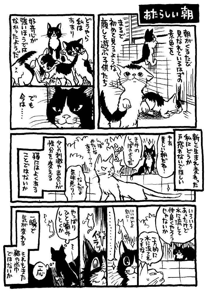 私という猫 本編まるまるためし読み 1 4 イシデ電 Note 私という猫 本編まるまるためし読み 1 4 イシデ電 Note