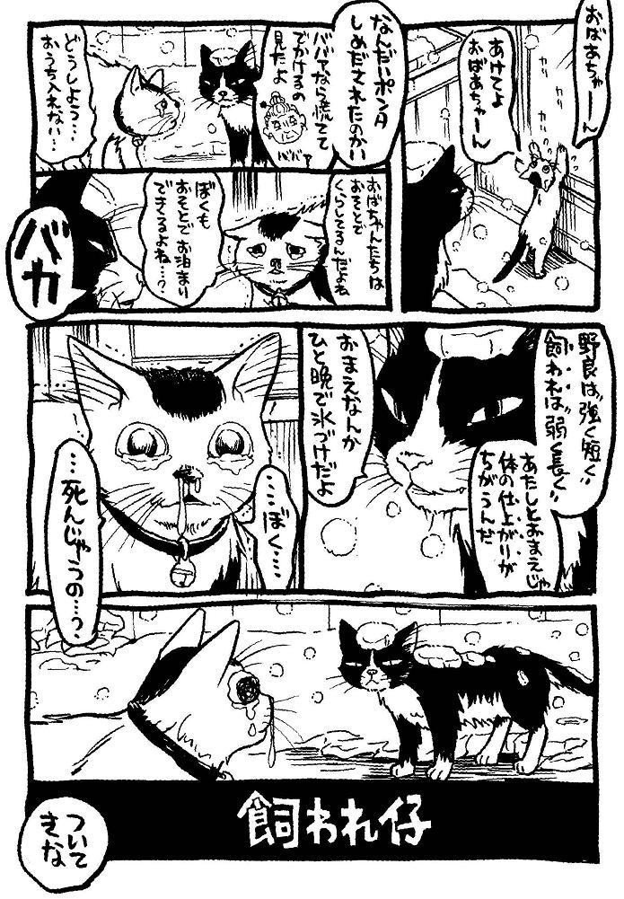 私という猫』本編まるまるためし読み 1/4｜イシデ電 