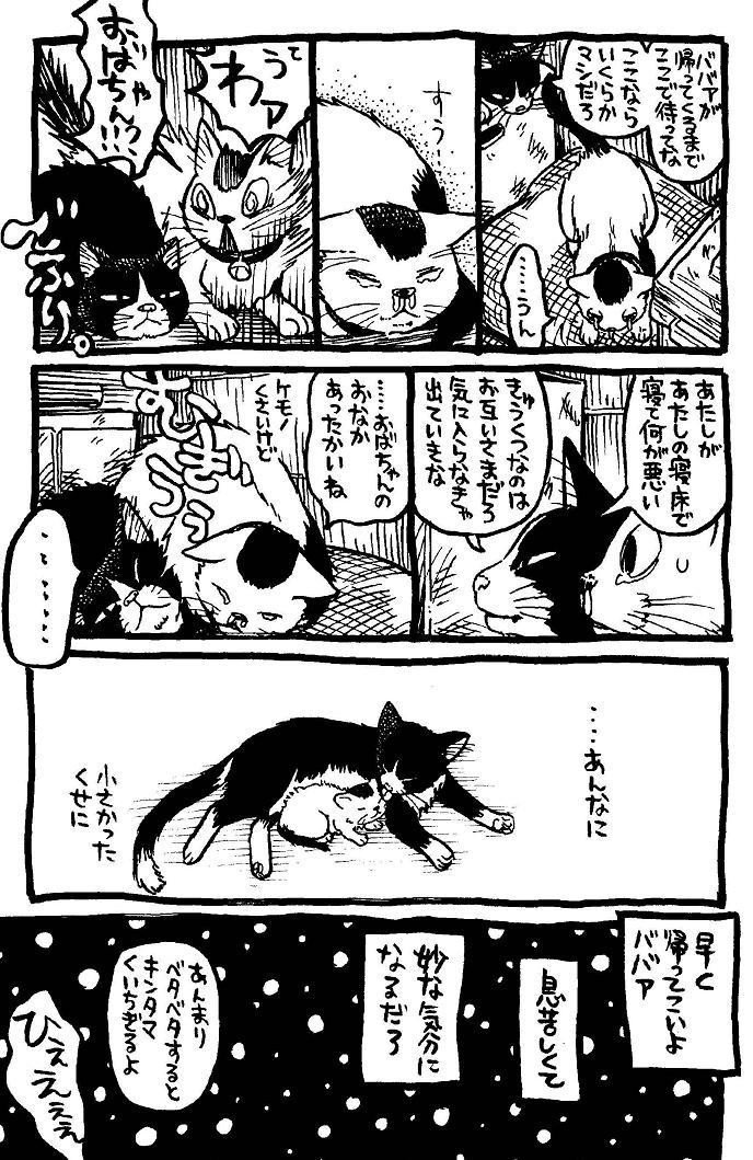 私という猫 本編まるまるためし読み 1 4 イシデ電 Note