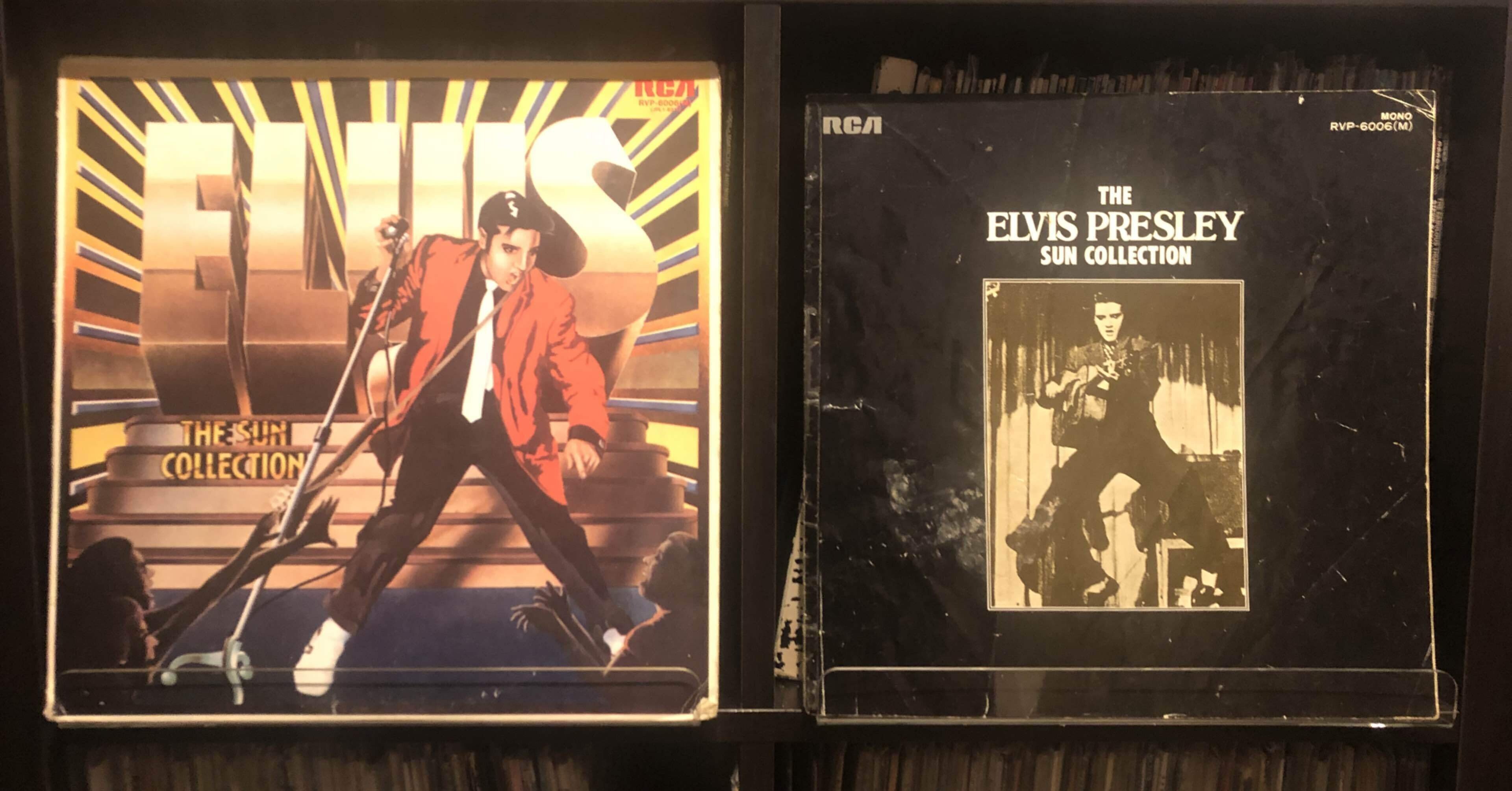 ザ・サン・コレクション／エルヴィス・プレスリー ('76)｜Takeshi Tada