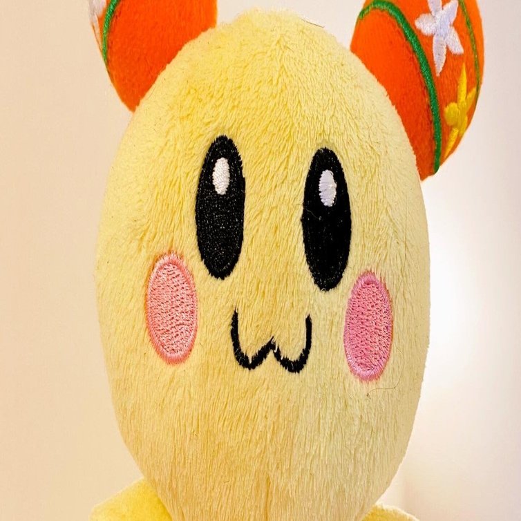 今週のあらごん（3月6～3月12日）｜あらごん