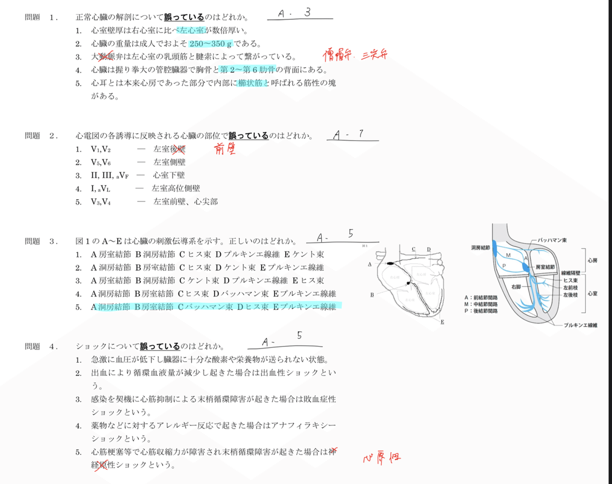 IVR認定技師試験 過去問の解答と解説