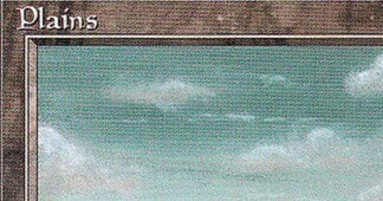 mtg|好きな基本土地の話~平地編~|るか mtg|好きな基本土地の話~平地編~|るか