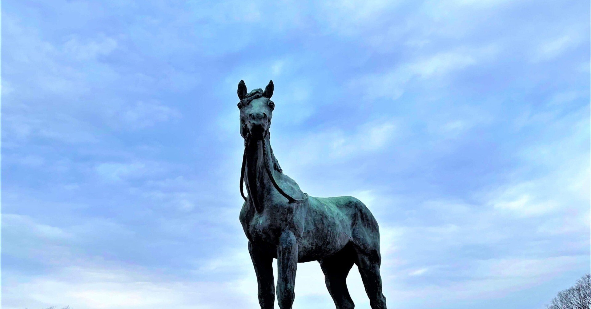 1b0243b5a374e03db44486b1f2f30e