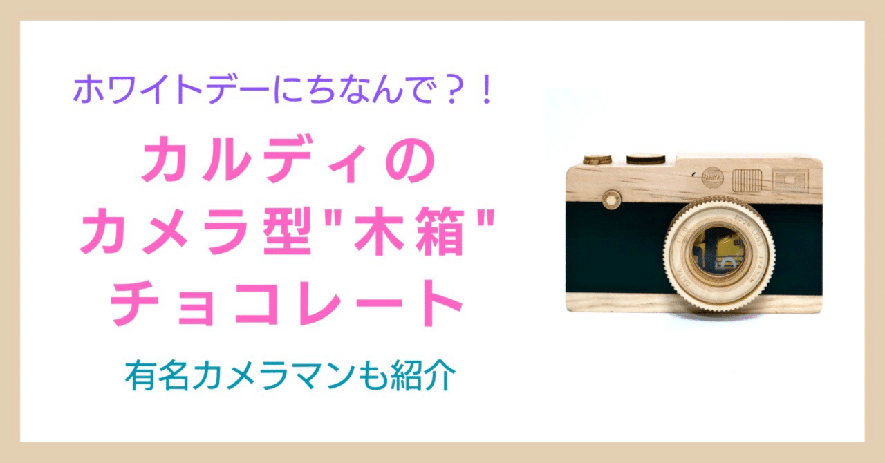 ホワイトデー企画？】カルディで販売のカメラ型「木箱