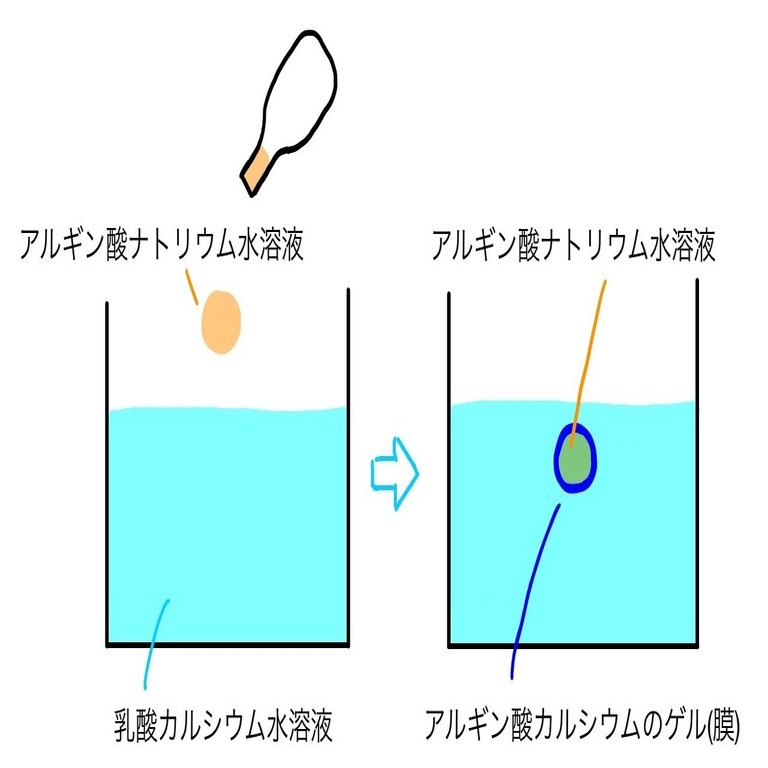 人工イクラの化学 Gelate ジェレイト Note