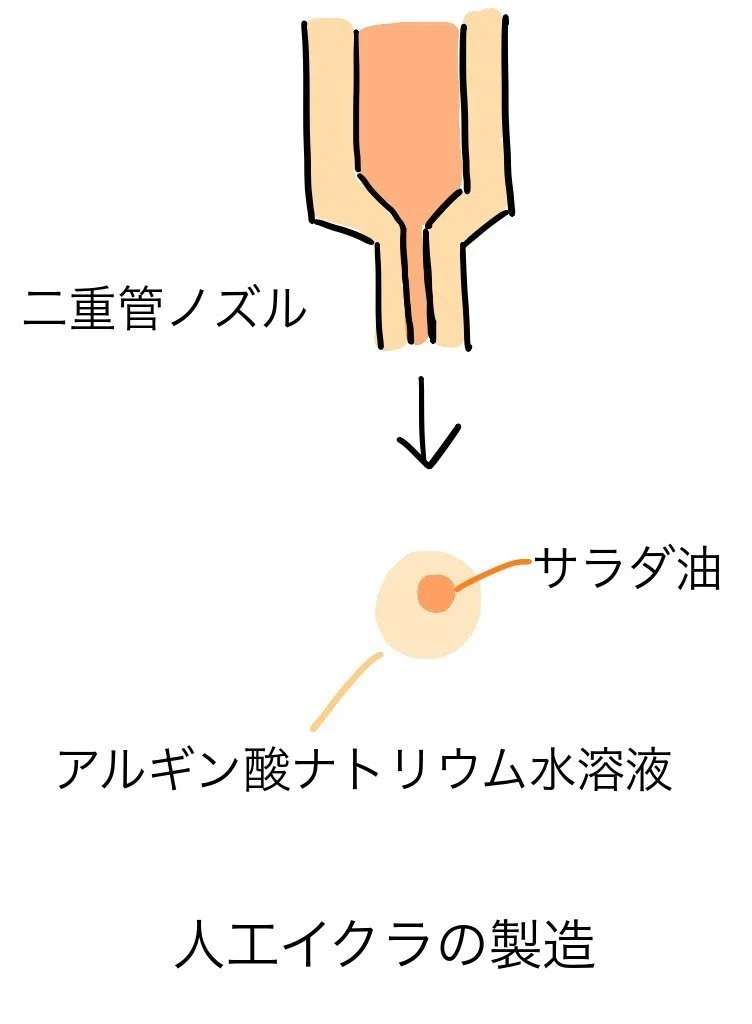 人工イクラの化学 Gelate ジェレイト Note