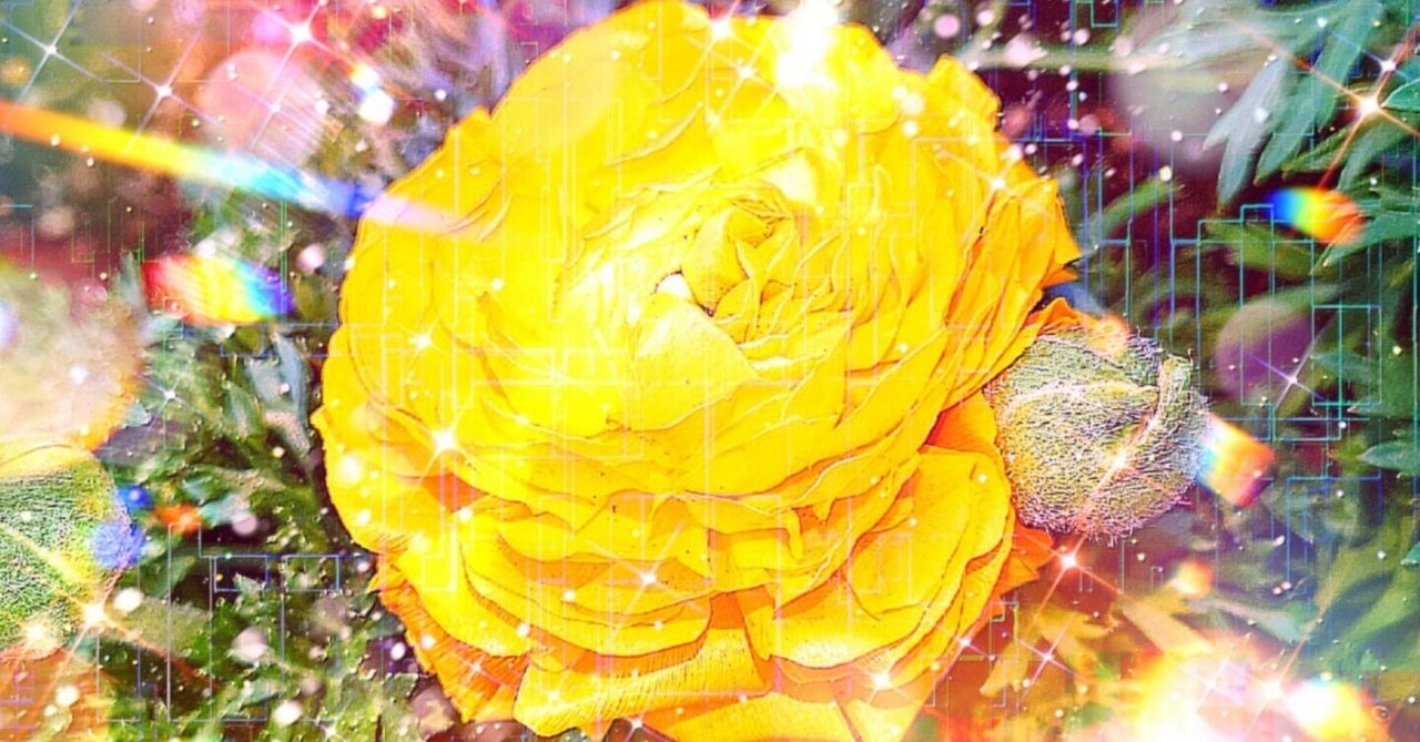 作品: a-1848 魅力放つ朝 Charming flower｜T_GAI(戒)