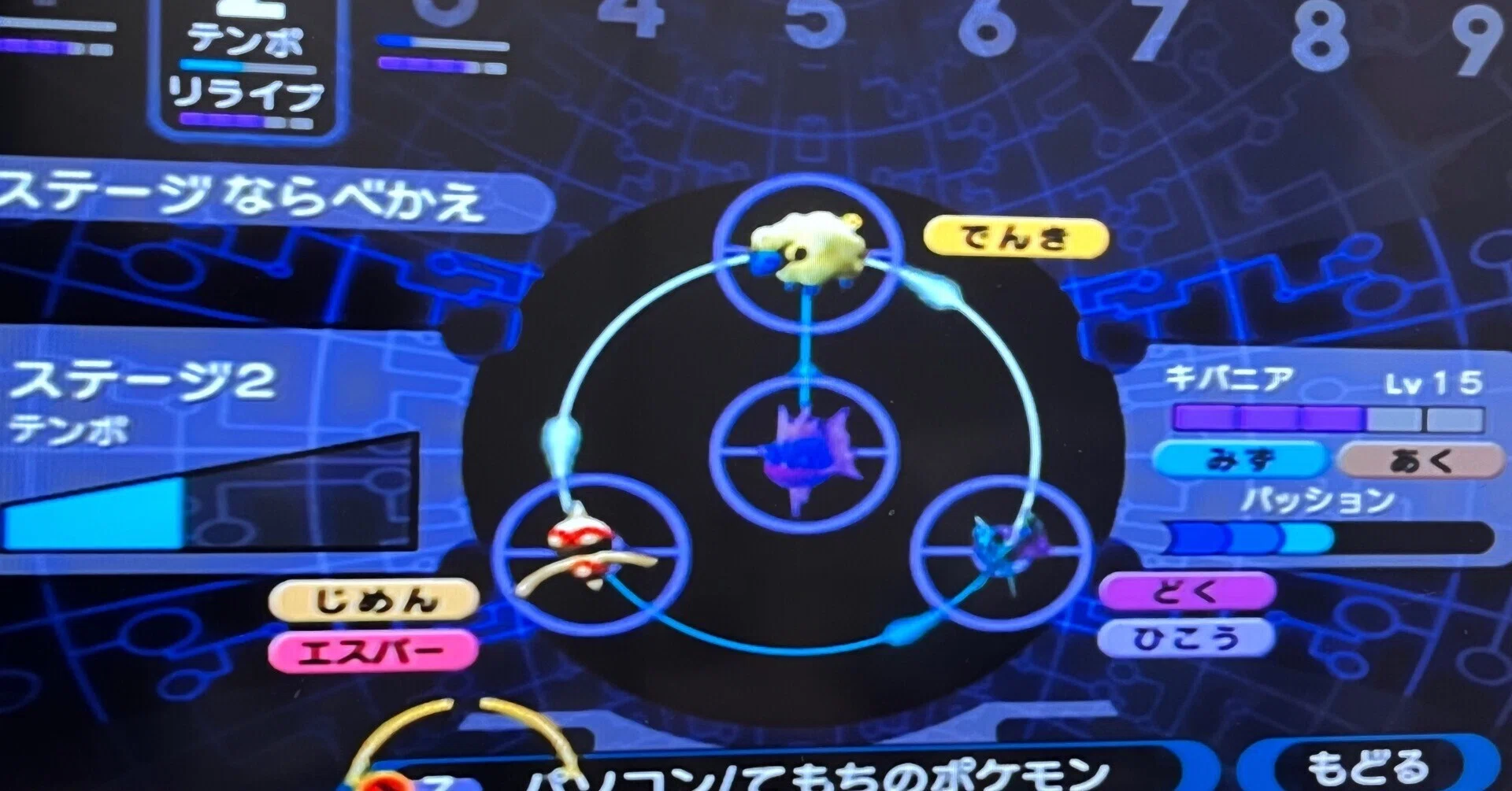 ポケモンプレイ記】ポケモンXD(2周目)【攻略メモ②】｜さーな