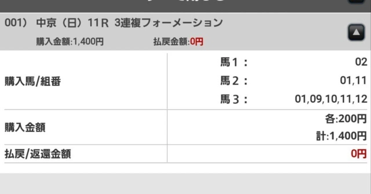 金鯱賞回顧～一流は2日連続で負けないの覚えとけ～｜FULLGATE@嵐山競馬｜note