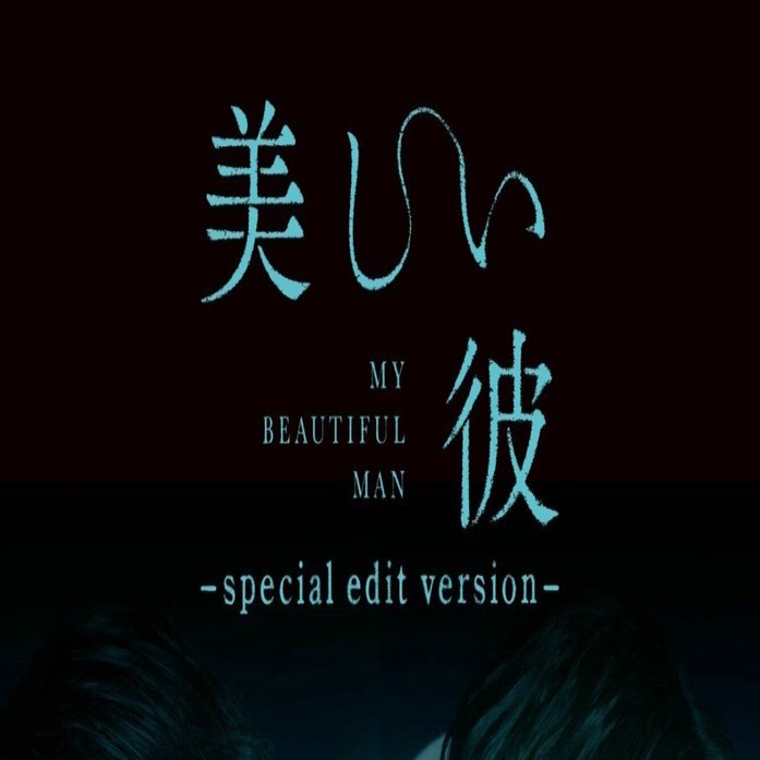 美しい彼 フライヤー special edit version シネマスコーレ 美しい彼 フライヤー special edit version シネマスコーレ - メルカリ