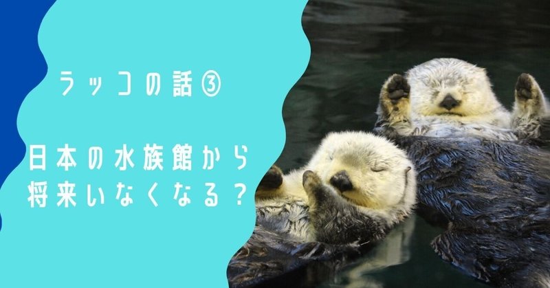 ラッコの話③「水族館のラッコ、日本で見られなくなる日がくる？」