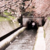 写真家の立場でみる 多様性 について あるいは 懐かしき 白と金 と 青と黒 のドレスへ捧げるオード 別所隆弘 Note