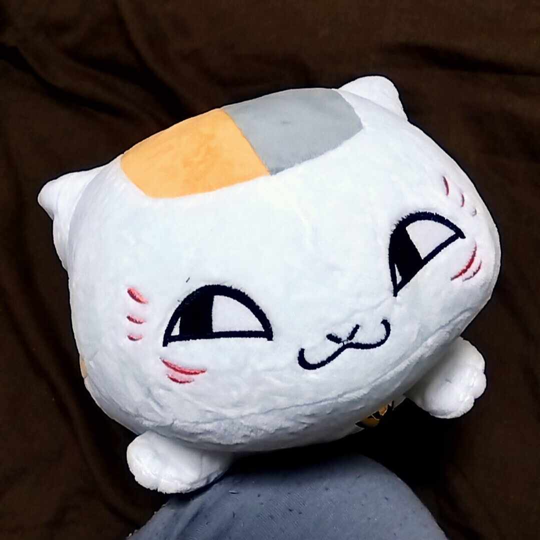 共に生きる一瞬を十七音に：金子敦句集『ポケットの底』｜あんこ