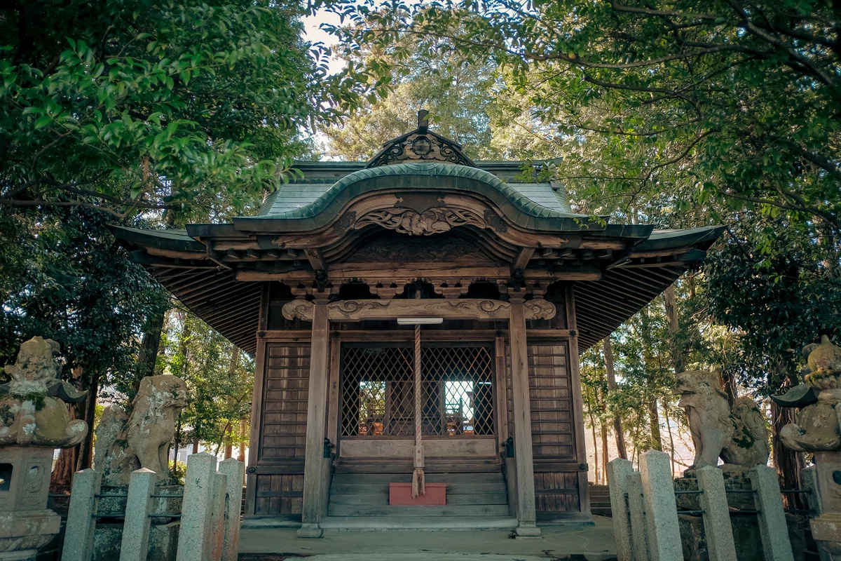 画像