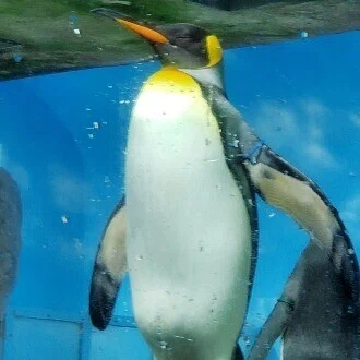 あい